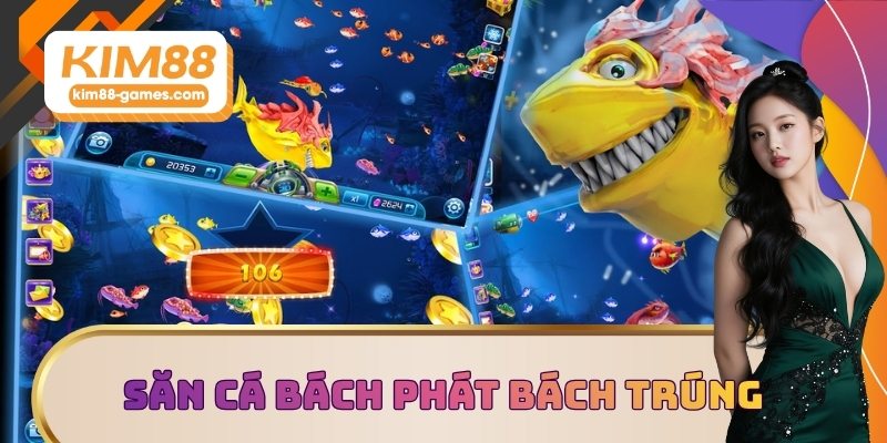 Săn cá bách phát bách trúng với mẹo hay Săn cá bách phát bách trúng với mẹo hay